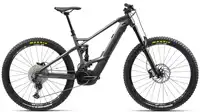 orbea wild fs H10